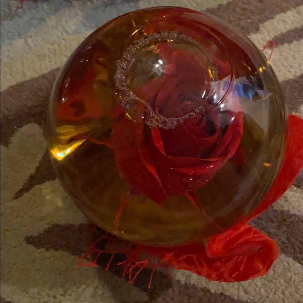 Rose In Water Glass